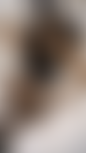 Geblurrte Content-Vorschau