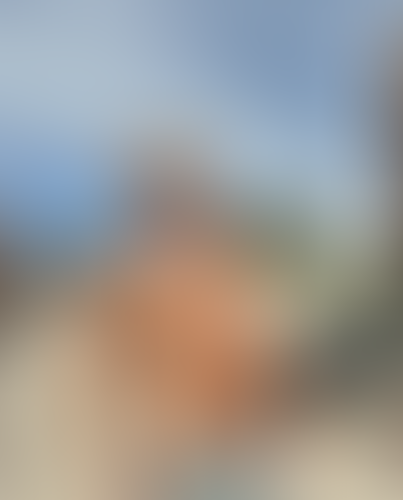 Blurred content preview