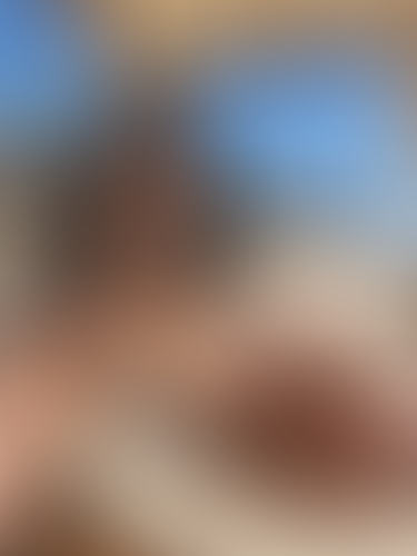 Blurred content preview