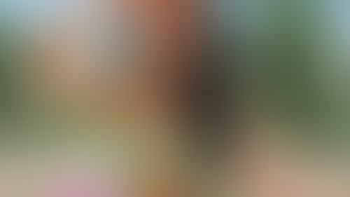 Geblurrte Content-Vorschau