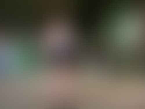 Geblurrte Content-Vorschau
