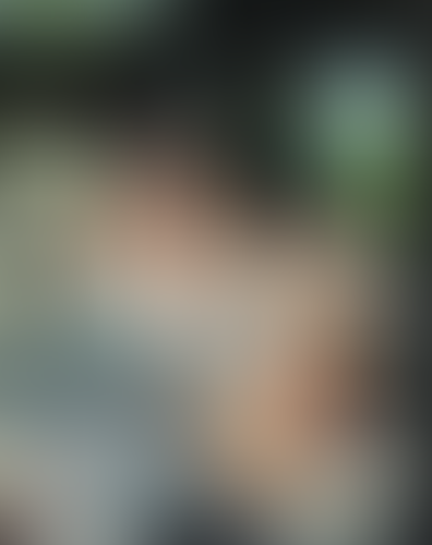 Geblurrte Content-Vorschau