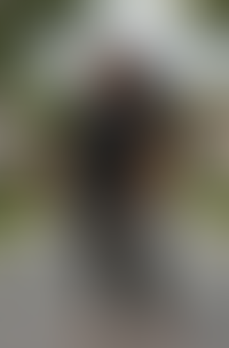 Geblurrte Content-Vorschau