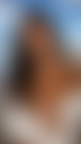 Geblurrte Content-Vorschau