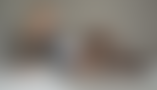 Blurred content preview