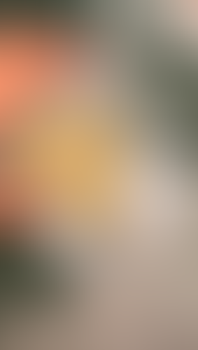 Geblurrte Content-Vorschau