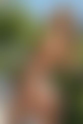 Blurred content preview