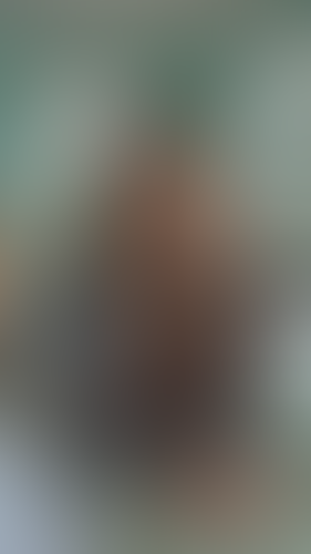 Geblurrte Content-Vorschau