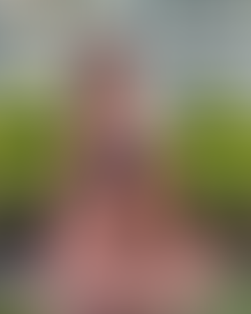 Geblurrte Content-Vorschau