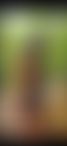 Geblurrte Content-Vorschau