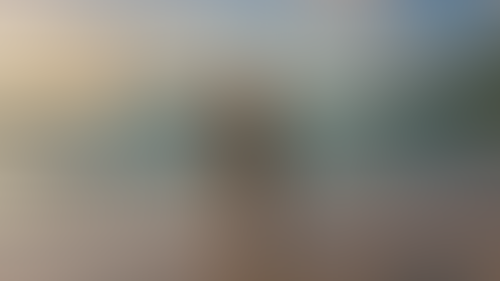 Geblurrte Content-Vorschau