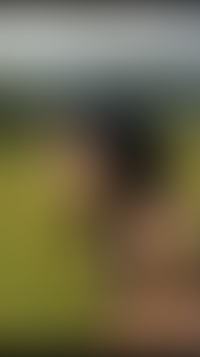 Geblurrte Content-Vorschau
