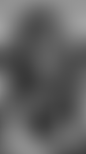 Geblurrte Content-Vorschau