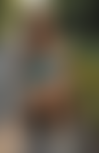 Blurred content preview