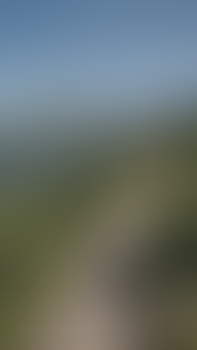 Geblurrte Content-Vorschau