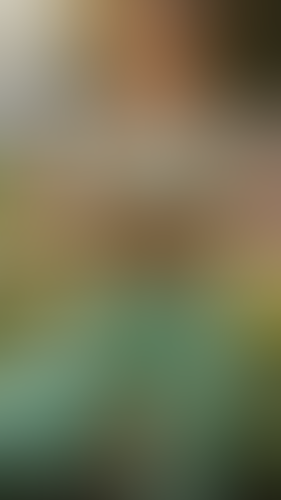 Geblurrte Content-Vorschau