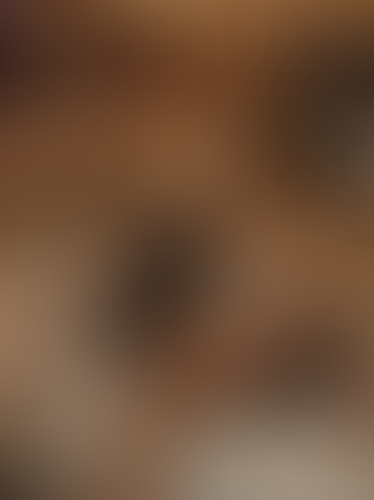 Geblurrte Content-Vorschau