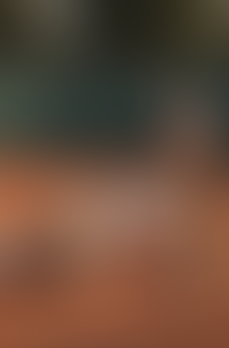 Blurred content preview
