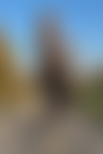 Geblurrte Content-Vorschau