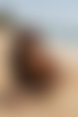 Blurred content preview