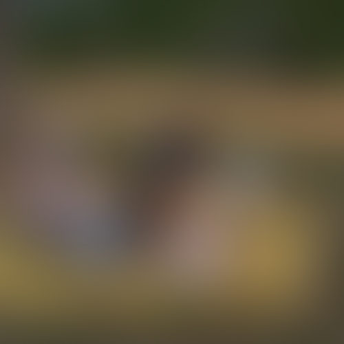 Blurred content preview