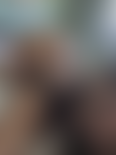 Geblurrte Content-Vorschau