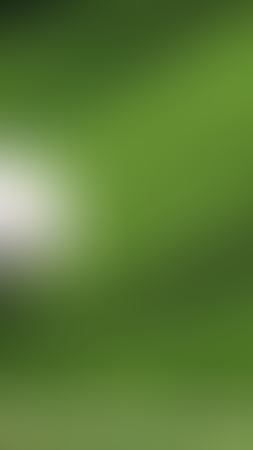 Geblurrte Content-Vorschau