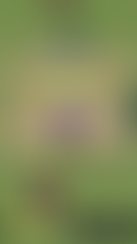 Geblurrte Content-Vorschau