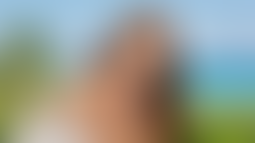 Geblurrte Content-Vorschau