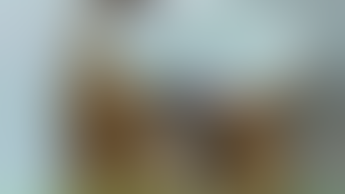 Geblurrte Content-Vorschau