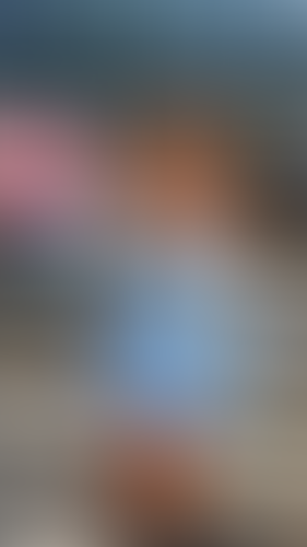 Blurred content preview