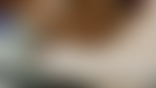 Geblurrte Content-Vorschau