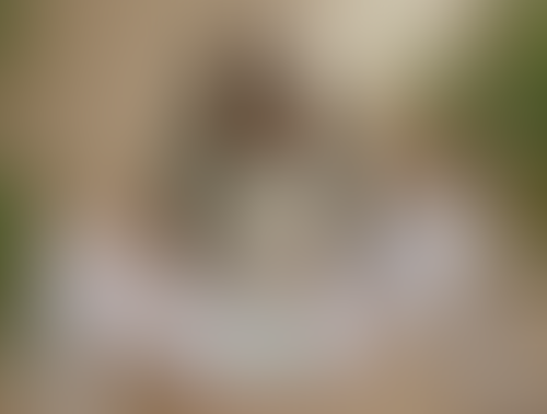 Geblurrte Content-Vorschau