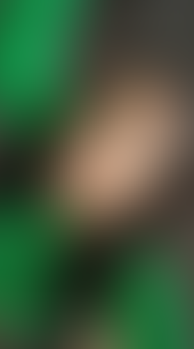 Geblurrte Content-Vorschau