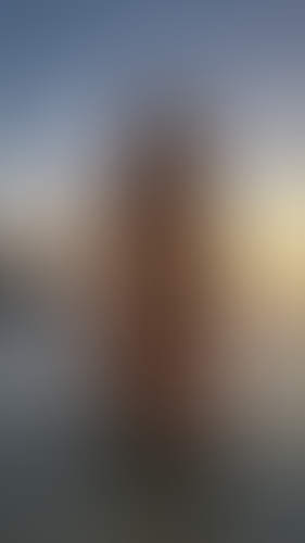 Geblurrte Content-Vorschau