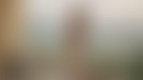 Geblurrte Content-Vorschau