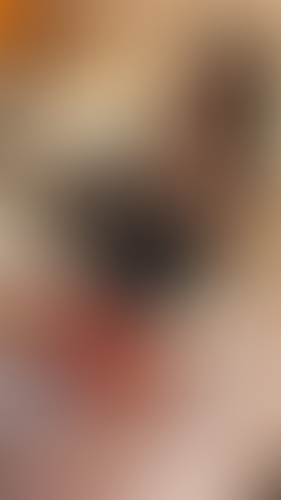 Geblurrte Content-Vorschau