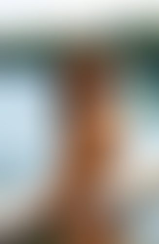 Geblurrte Content-Vorschau