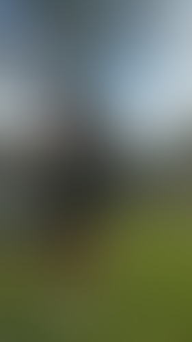 Geblurrte Content-Vorschau