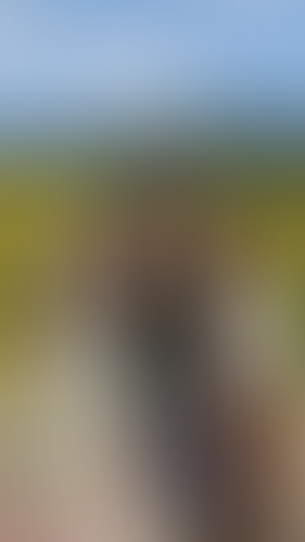 Geblurrte Content-Vorschau