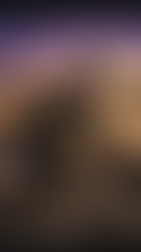 Geblurrte Content-Vorschau