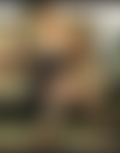 Geblurrte Content-Vorschau