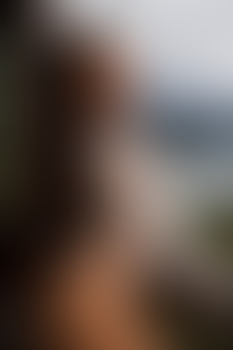 Geblurrte Content-Vorschau