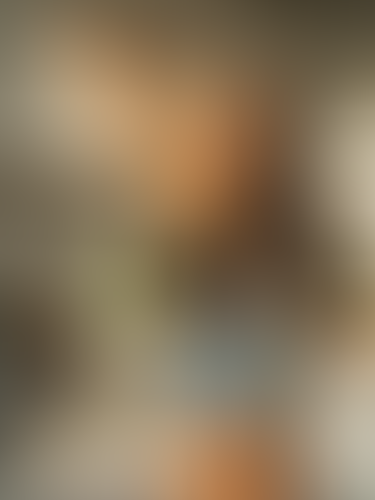 Geblurrte Content-Vorschau