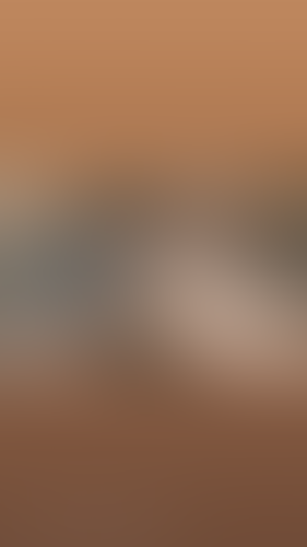 Geblurrte Content-Vorschau
