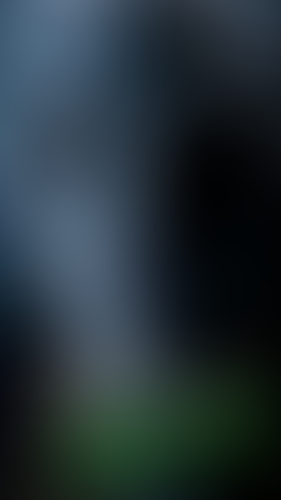 Geblurrte Content-Vorschau