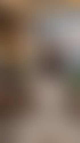 Geblurrte Content-Vorschau