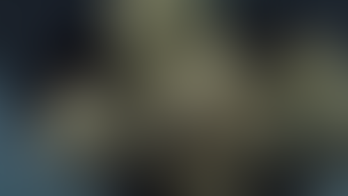 Geblurrte Content-Vorschau