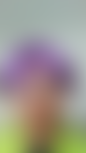 Geblurrte Content-Vorschau