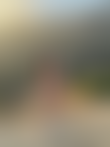 Geblurrte Content-Vorschau